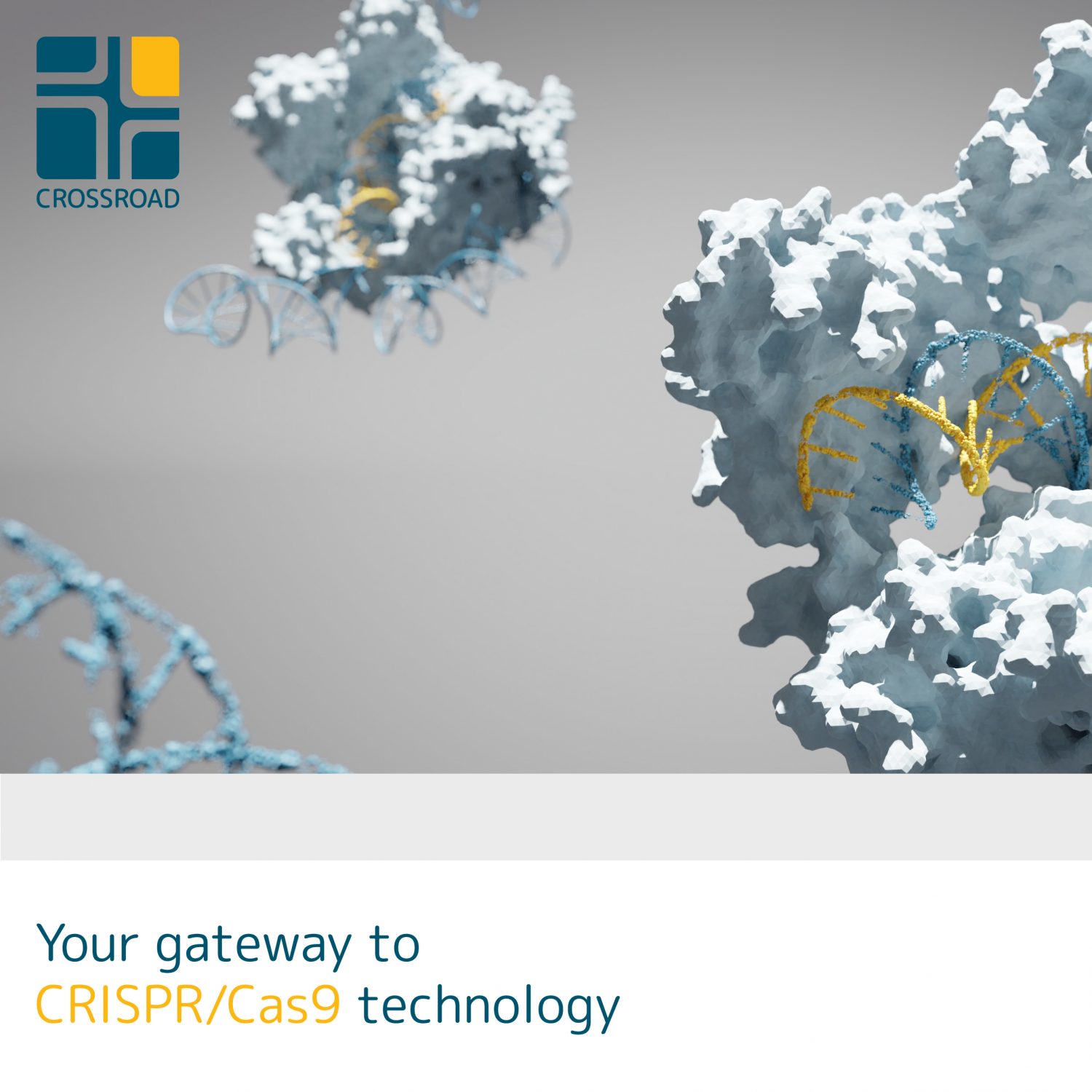 biotech graphic design corporate design