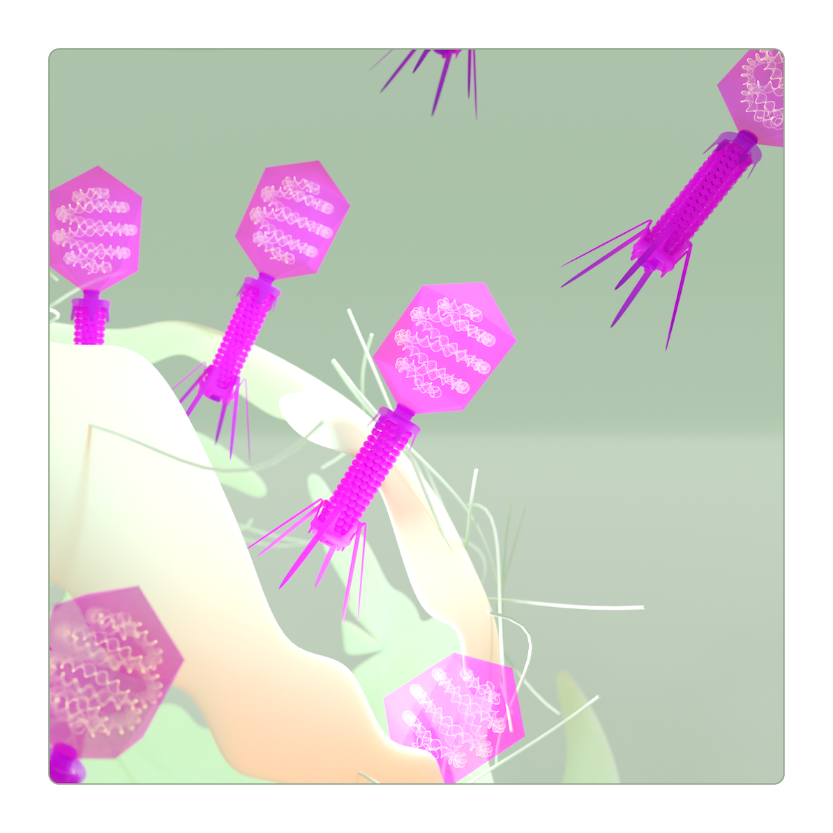 T4 bacteriophages bursting out of an infected e.coli bacterium.