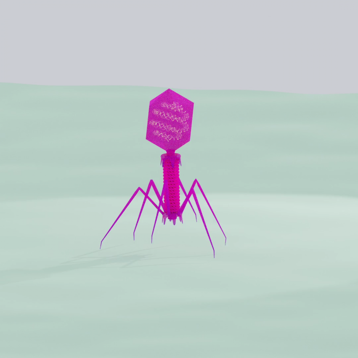 Animated T4 bacteriophage walking